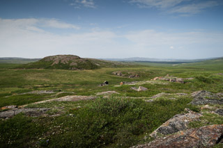 Hunter's Hill