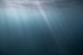 Sunlight in the Sea