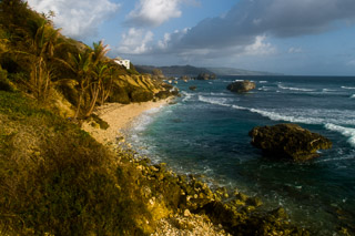 Rugged Tropical Coast