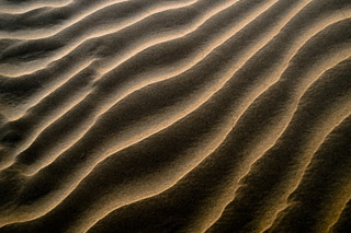 Sand Ripples