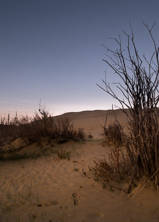 Sunrise over Scrub