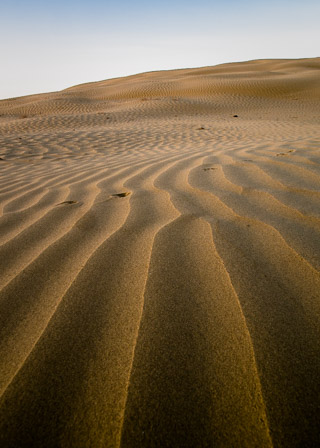Ripples into a Dune