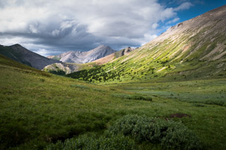Verdant Valley
