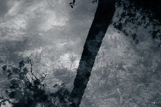 Reflections in Lost Lake