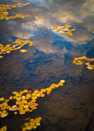 Autumn Wishing Pond