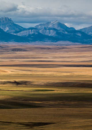 Montana Transition Zone