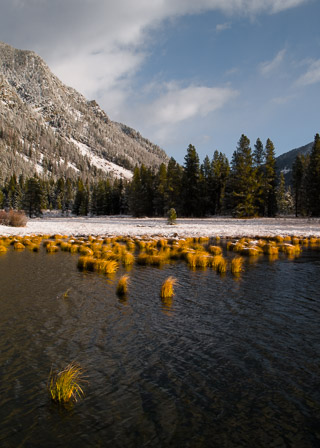 Warm Winter Swamp