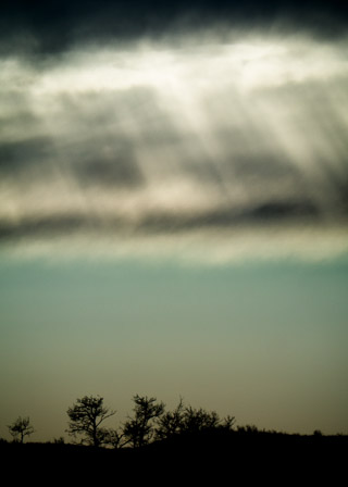Pastel Beams