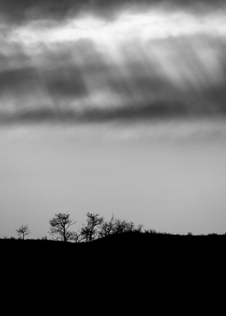 Light From Above