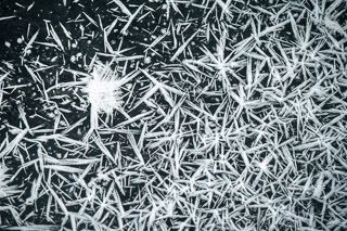 Frost Flower