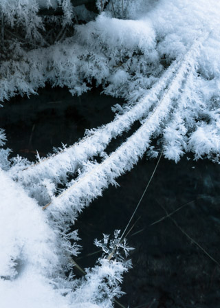 Frosty Grass Over a Small Stream