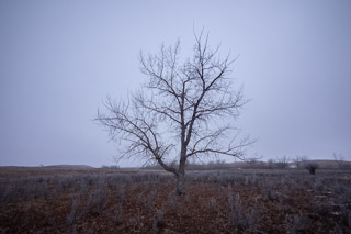 Standing Between Dunes