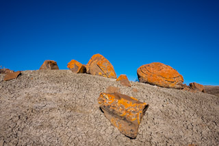 Bright and Barren