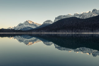 Waterfowl Lake Reflection