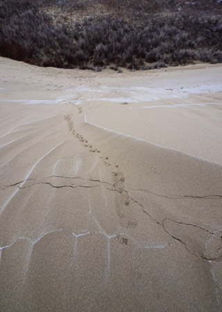 Down the Dune
