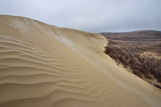 Winter Dune Ripples