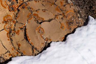 Circular Cracks