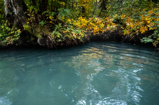 Undercut Hotsprings Edge