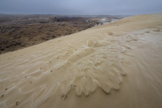 Frosted Desert Tracks