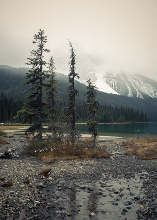 Emerald Spruce Island