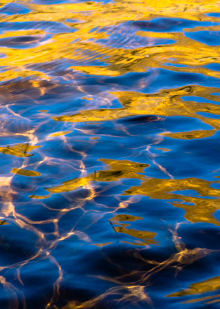 Detail in the Depths