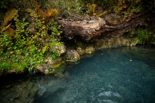 Tufa Pool Edge