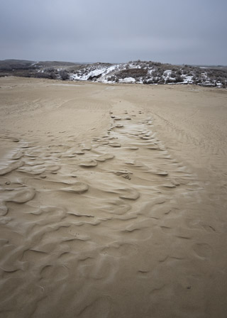 Winter Sand Dune