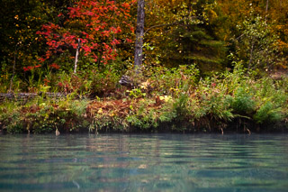 Hotsprings Fall