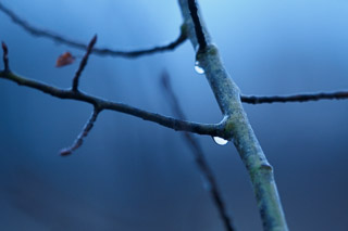 Sounds of a Rainy Night
