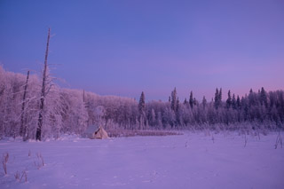 Cold Morning Glow