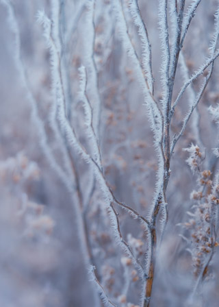 A Sharp Cold