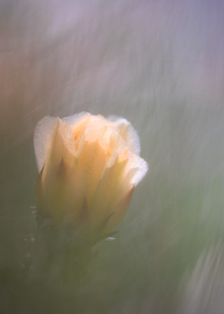 Softening Sharpness