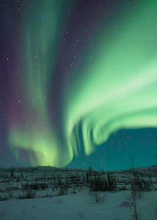 Dancing Home II
