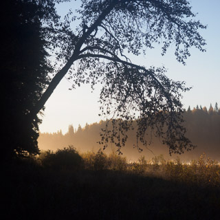 Promise of a Warm Paddle