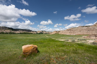 Bright Summer Floodplain