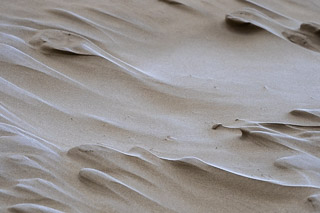Wind-carved and Frozen