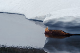 Tranquil Transition