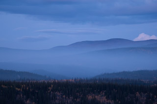 Forests Making the Sky