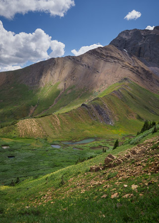 Green Slopes of the Persimmons