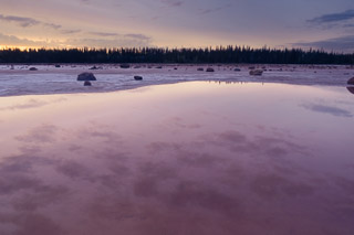 Salty Reflections