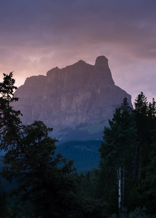 Castle Mountain Through Trees