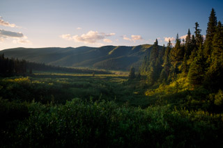 Wildhay Ridge