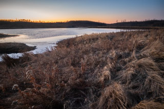 Grassy Fall Shore