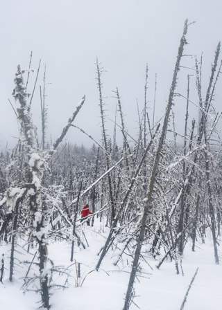 Only in Winter