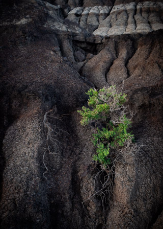 Weathering the Erosion