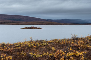 Chapman Island