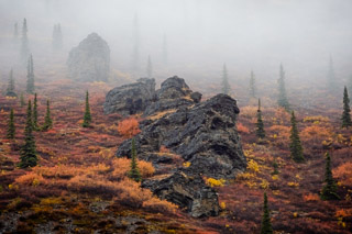 Outcrops in the Fog