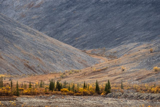 Endless Scree Slopes