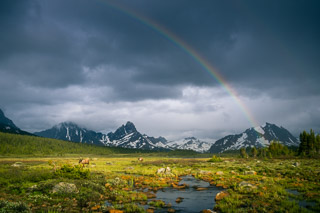 Walking Under Rainbows