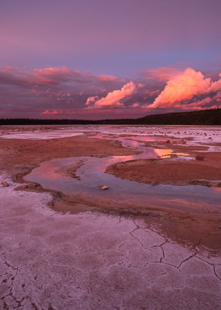 Salty Meander
